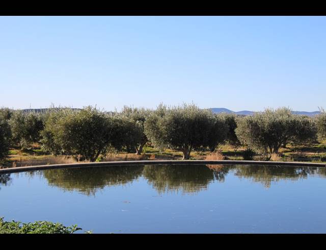 15HA FARM FOR SALE IN PRINCE ALBERT RURAL